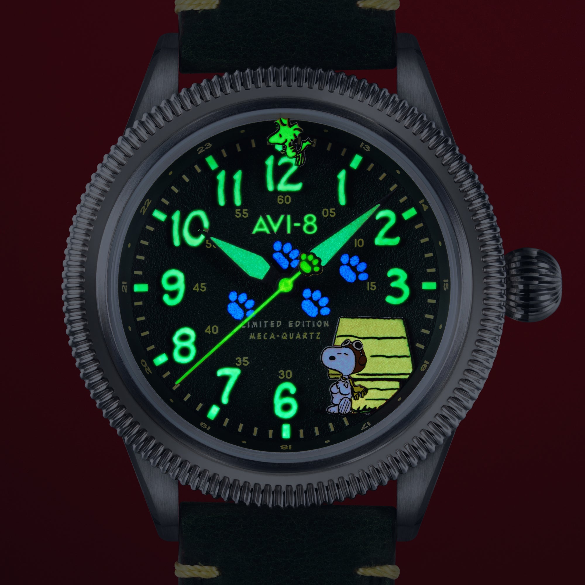 AVI-8 AVI-8 Flyboy Airmaster 40 Meca-Quartz Peanuts Snoopy Flying Ace Limited Edition Doghouse Green Men's Watch AV-4139-01
