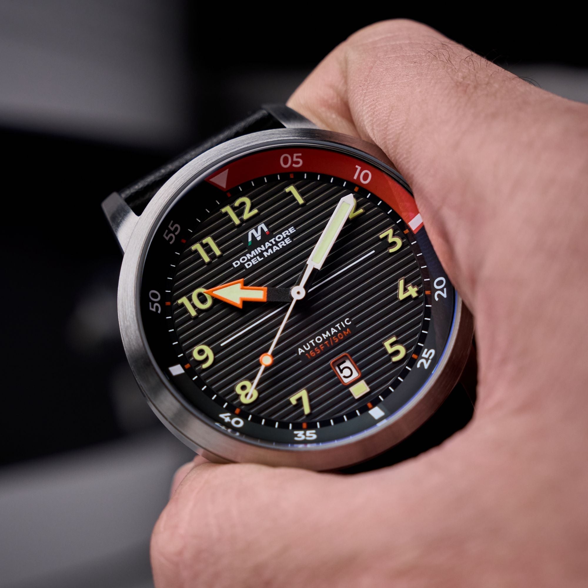 Dominatore Del Mare Dominatore Del Mare Camogli Automatic Smoke Grey Men's Watch DD-8025-04