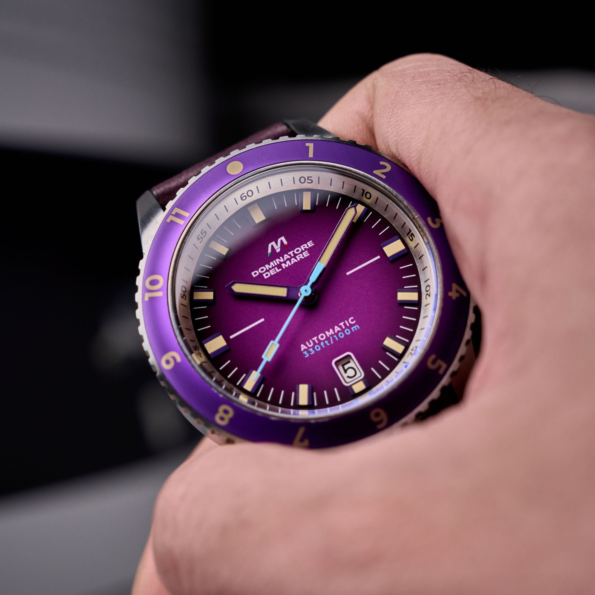 Dominatore Del Mare Dominatore Del Mare Tropea Automatic Indigo Men's Watch DD-8026-03