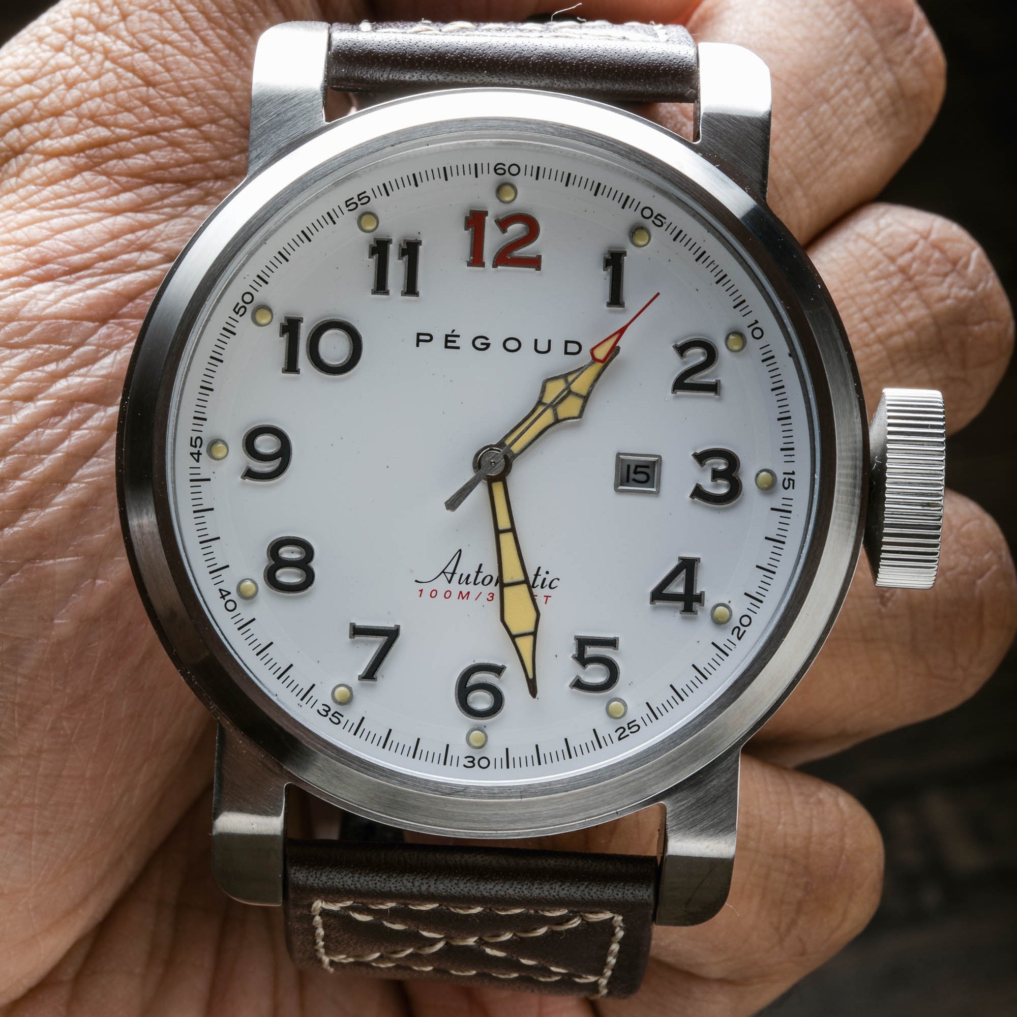 PEGOUD Pegoud Celestin Japanese Automatic Men's Porcelain Watch PG-9013-01