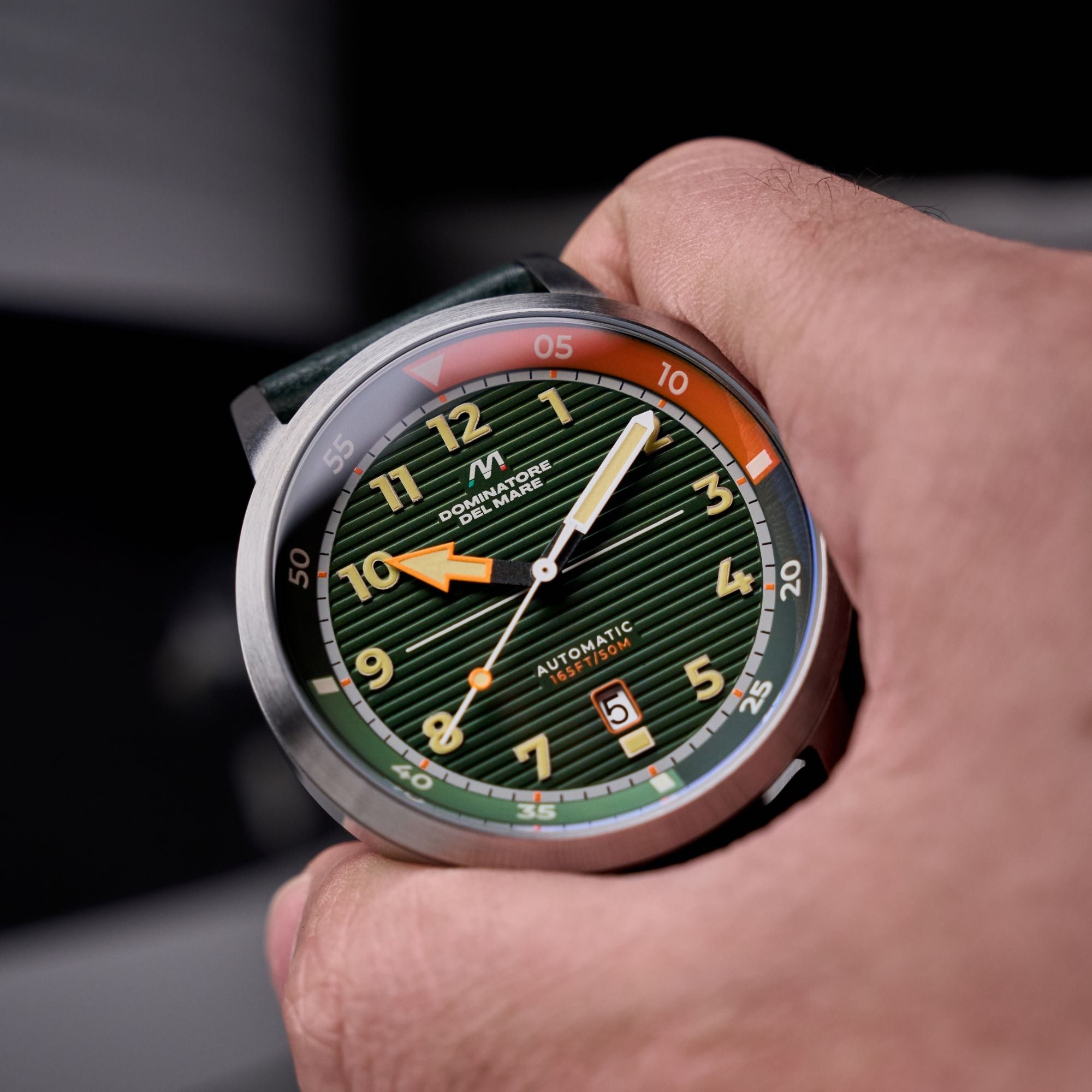 Dominatore Del Mare Dominatore Del Mare Camogli Automatic Vert Green Men's Watch DD-8025-03